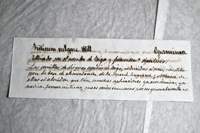 Detalle 1